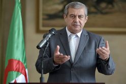 حسن رابحي : إعداد انتخابات رئاسية عبر حوار جامع وبناء هو الحل للخروج من الازمة