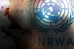 الأونروا تعلن حاجتها إلى 100 مليون دولار لمساعدة متضرري الحرب على غزة