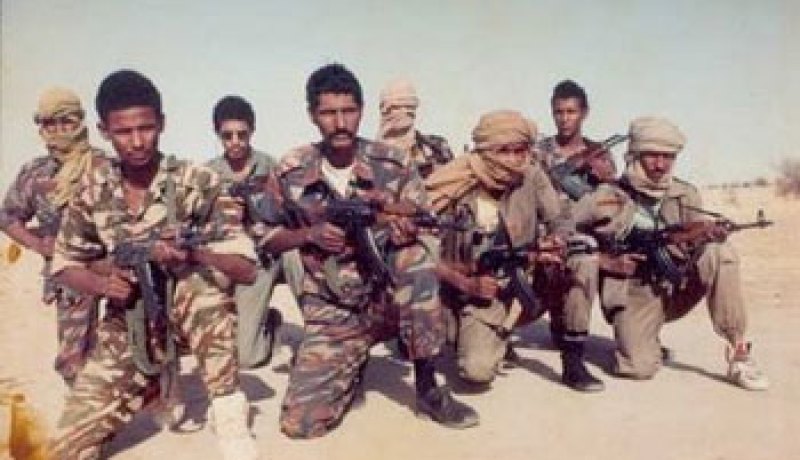 متمردو طوارق مالي يفرجون عن 4 جنود ماليين