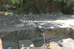 من هنا.. شرب الجزائريون الموت بنكهة «الكوليرا» !