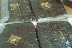 العثور على 139 كلغ من المخدرات بقرية عين عمارة