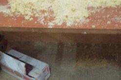 بالفيديو..طبق “الكسكس” يخرج طالبات الإقامة الجامعية 3 بالعفرون في حركة احتجاجية