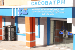وزارة العمل.. استحداث خدمات رقمية جديدة في صندوق CACOBATPH