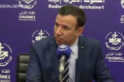 قريبا.. بنك للتصدير والإستيراد