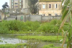 16عائلة تعيش اوضاعا  كارثية  بحي الونشريس بالرغاية