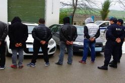 حجز شاحنات لنهب الخشب وتوقيف بارونات تسببوا في مجازر بغابات تيبازة