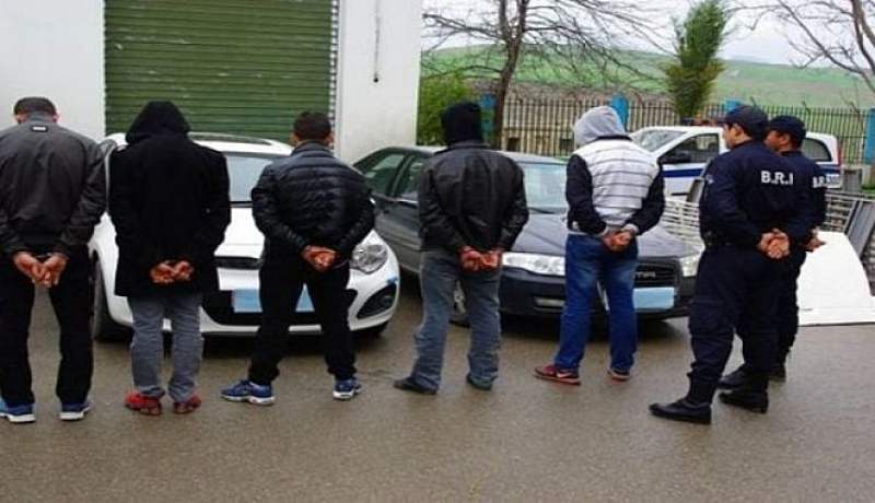 حجز شاحنات لنهب الخشب وتوقيف بارونات تسببوا في مجازر بغابات تيبازة