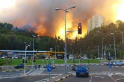 تفجير انتحاري بتونس ليلة اليوم دون تسجيل أي ضحايا