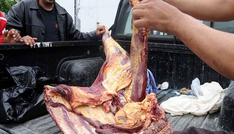 حجز أكثر من 480 كلغ من اللحوم الحمراء في تيارت