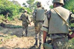  القبض على 3 إرهابيين عشية عيد الفطر بالجلفة