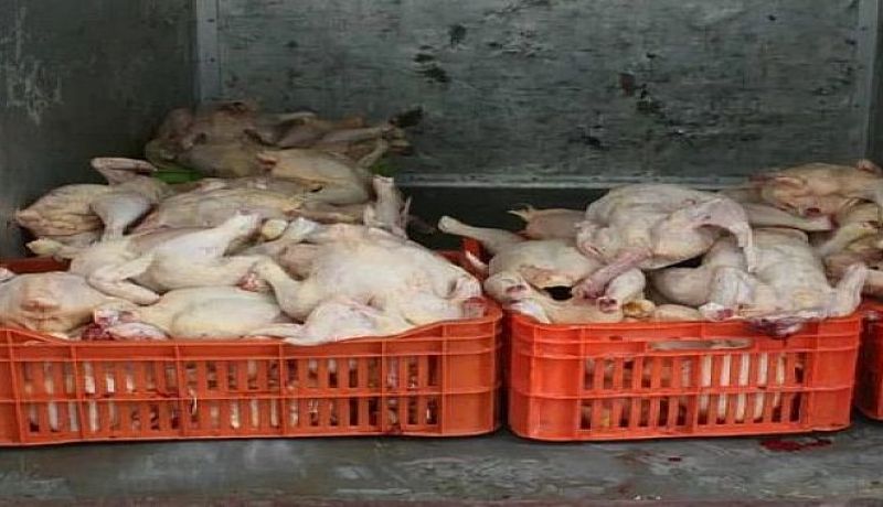 سيدي بلعباس: حجز أكثر من 165 كلغ من اللحوم البيضاء بعين البرد