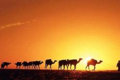 معكم إلى بر الأمان