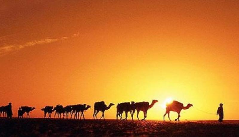 معكم إلى بر الأمان