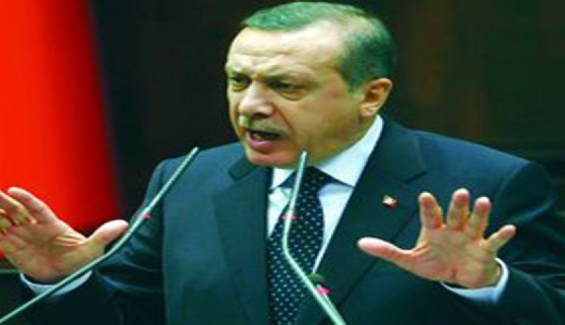 أردوغان يبلغ ميدفيديف بأن الإدارة السورية فقدت شرعيتها ومصداقيتها تماما