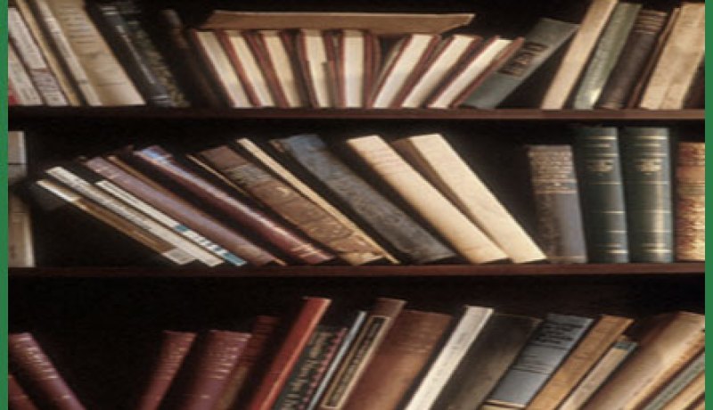 الجزائري أحسن آيت سعيدي يتحصل على جائزة صياد 2010