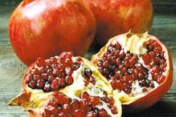 إنتاج 76 ألف قنطار من الرمان بالمسيلة