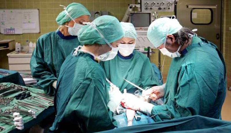 50 ٪ مـن الجزائريين لا يمانعــــون التبـــرع بأعضائهـم بعــد وفاتهـــم