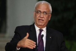 عريقات يدعو العالم إلى محاسبة الشركات المتواطئة مع اسرائيل