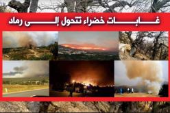 51 حريقا أتلف 888 هكتار في 24 ساعة