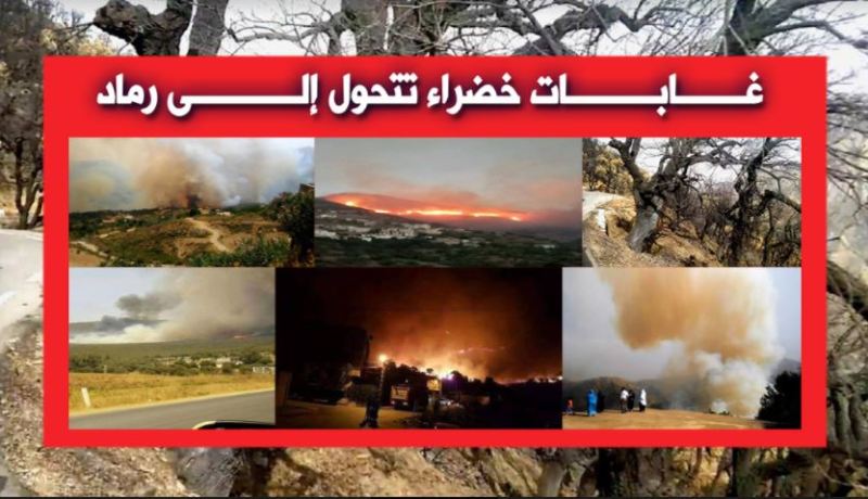 51 حريقا أتلف 888 هكتار في 24 ساعة