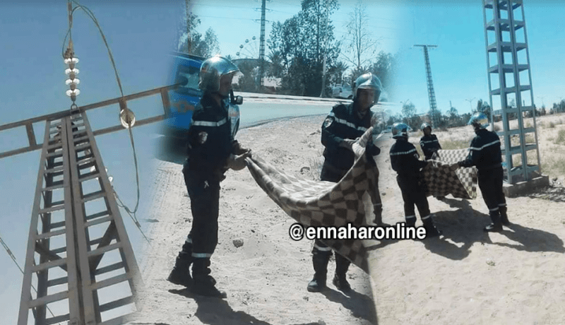 الحماية المدنية تتدخل لإنقاذ قطة عالقة بعمود كهربائي بالوادي