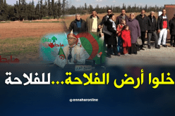 الشيخ النوي..الفلاحة مخروبة في تلمسان