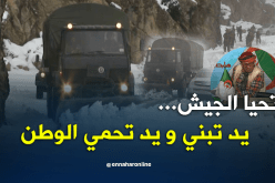 الشيخ النوي: أفراد الجيش الوطني راكم طالعين