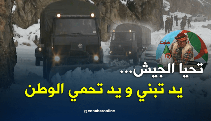 الشيخ النوي: أفراد الجيش الوطني راكم طالعين