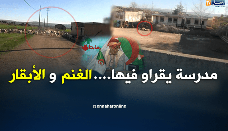 الشيخ النوي.. إبتدائية تتحول إلى إسطبل للمواشي بسعيدة