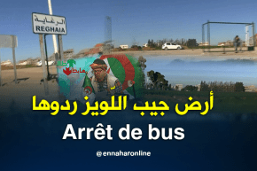 الشيخ النوي: المحطة في البصل والمارشي في الواد