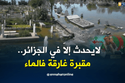 لايحدث إلاّ في الجزائر..مقبرة غارقة في الماء بوهران