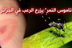 ناموس النمر يفزع الجزائريين