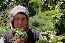 التأكيد على دعم المرأة الجزائرية في الاقتصاد خلال منتدى دولي بباريس