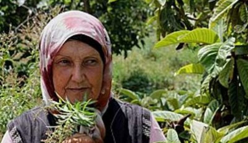 التأكيد على دعم المرأة الجزائرية في الاقتصاد خلال منتدى دولي بباريس