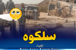 بالصور..إنقاذ جمل من موت محقق بصحراء تمنراست