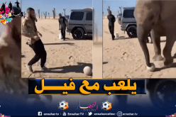 بالفيديو.. بن زيمة يستعرض مهاراته الكروية في دبي