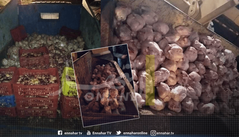حجز أزيد من 25 قنطار دجاج فاسد بالوادي