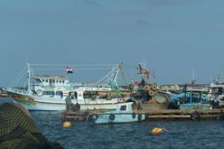 حالة الطقس لنهار اليوم الخميس