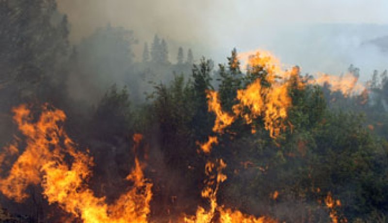 احتراق 600 ألف متر فى غابة مرسين بتركيا