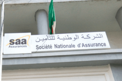 أول صفقة ستوقع مع SAA.. هكذا ستتحصل المؤسسات الناشئة على المشاريع