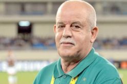 تعيين رابح سعدان على رأس اللجنة التقنية للفئات الشابة حديثة النشأة