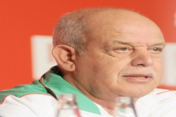 سعدان‮ ‬يعتذر عن تدريب الرجاء البيضاوي‮ ‬المغربي