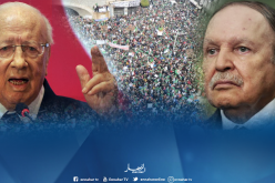 السبسي :”بوتفليقة قام بواجبه.. لكن الشعب يريد وضع حد لهذه التجربة”