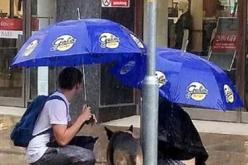 سر الصورة الأكثر انتشارا على وسائل التواصل الاجتماعي