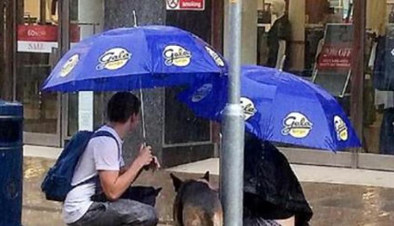 سر الصورة الأكثر انتشارا على وسائل التواصل الاجتماعي