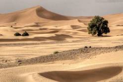 “الثقب الأسود”.. الرقم المجهول في الصحراء الكبرى 