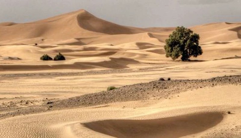 “الثقب الأسود”.. الرقم المجهول في الصحراء الكبرى