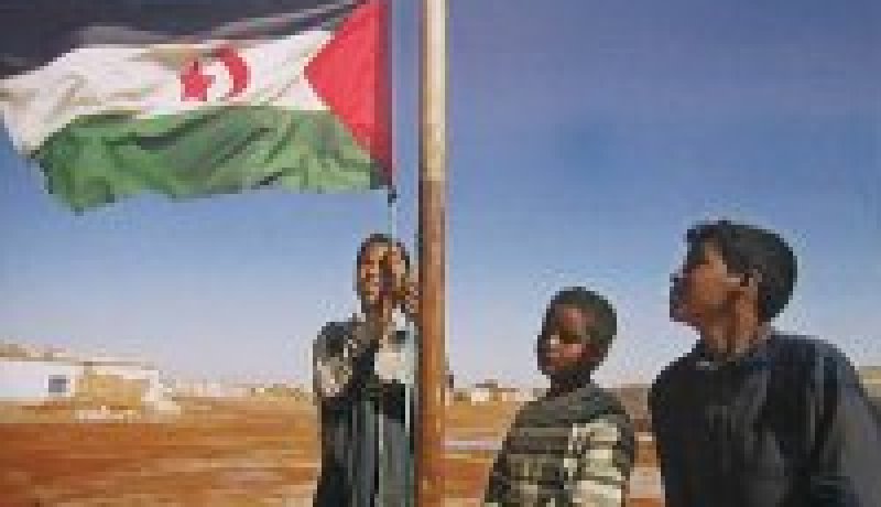 جبهة البوليزاريو تدعو الامم المتحدة الى تحمل مسؤوليتها في الصحراء الغربية