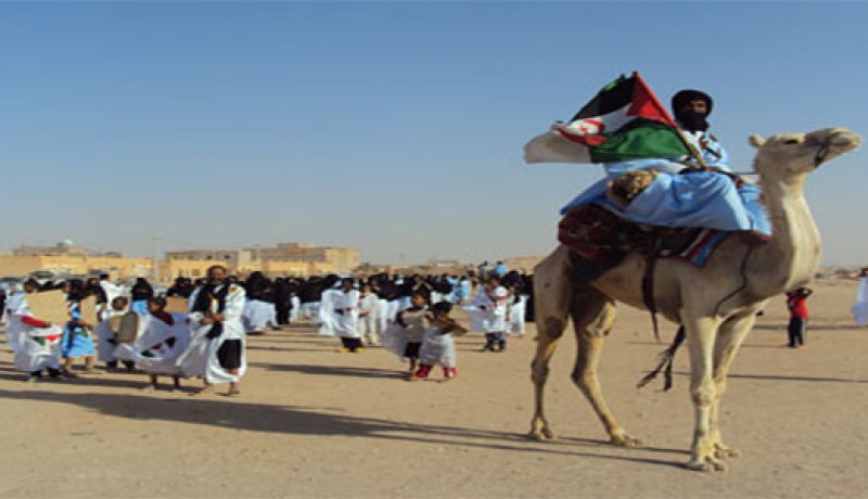 مشاركة وفد برلماني في الندوة الأوروبية ال37 لتنسيق الدعم للشعب الصحراوي