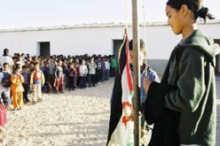 مخرجون ومنتجون يذكرون بالمأساة الإنسانية : عالم السينما يتجند من أجل القضية الصحراوية بإسبانيا